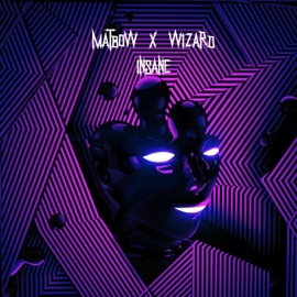 Insane (feat. Wizard) Matbow