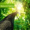 Som de Passaros - Natureza