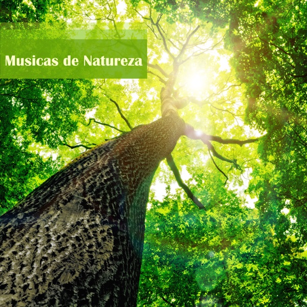 Musicas da Natureza - Musicas Relaxantes para Dormir com Som de Passaros, Sons da Chuva e de Água