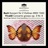 Concerto for 2 Violins in D Minor, BWV 1043: I. Vivace