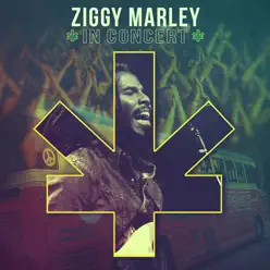 In Concert - Ziggy Marley