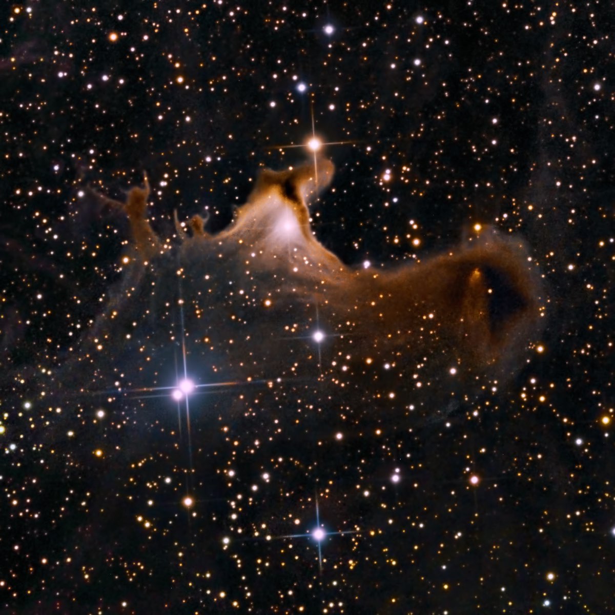 Рожденная среди звезд. Животные и звездное небо. Собака и звездное небо. Далекие звезды. Танцующие звезды на небе.
