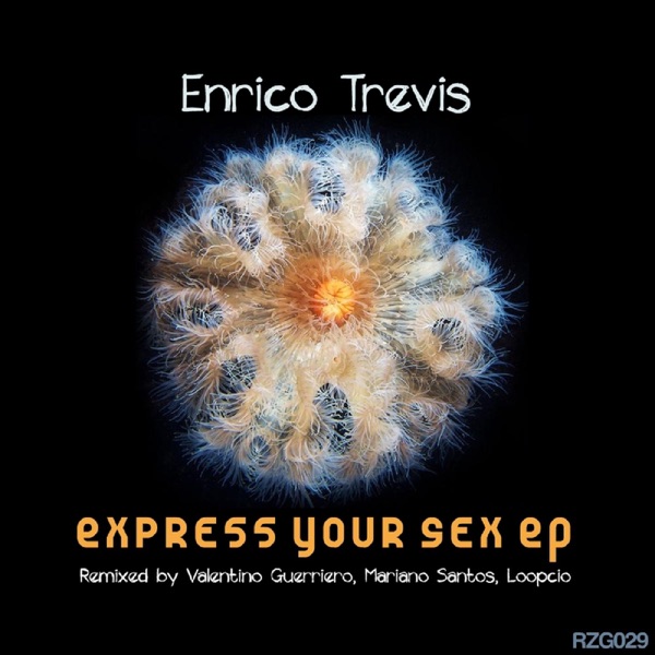 Express Your Sex - EP