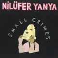 Small Crimes