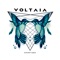Bizi Gogoak - Voltaia lyrics