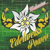 Heute rockt nicht nur Musik