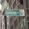 The Best of Hammond Street