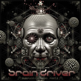 Incorrect (V2) Braindriver