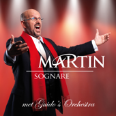 You Raise Me Up - Martin Hurkens