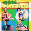 Denys Gigot - Medley Adamo : Tombe la neige / Sans toi mamie / Une mèche de cheveux / Mes mains sur tes hanches