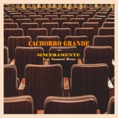 Sinceramente (Radio Edit) artwork