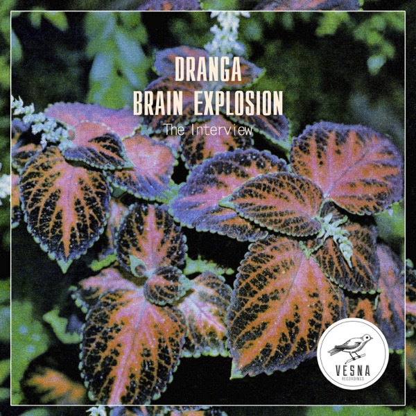 The Interview (feat. Brain Explosion) - Single