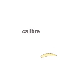 Condition - Calibre