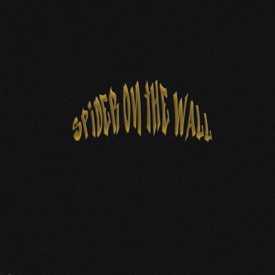 Spider on the Wall - Single