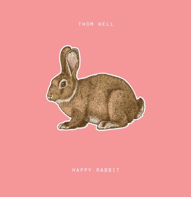 Happy Rabbit