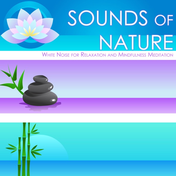 Sounds of Nature - White Noise for Relaxation and Mindfulness Meditation