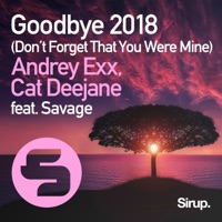 Goodbye (Don't Forget That You Were Mine) 2018 [feat. Savage] - Single - Andrey Exx & Cat Deejane