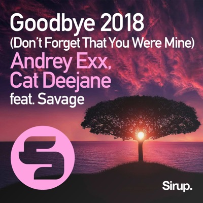 Goodbye (Don't Forget That You Were Mine) 2018 [feat. Savage] - Single