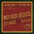 Meu Bem Querer (Audio)