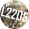 F2105 (Dominic Banone Remix) - Frank Savio lyrics