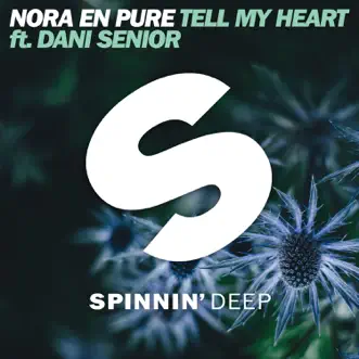 Tell My Heart (feat. Dani Senior) by Nora En Pure song reviws