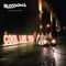 Blossoms - There's a Reason Why (I Never Returned Your Calls)