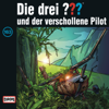 Folge 163: und der verschollene Pilot - Die drei ???