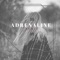 Adrenaline (Remix) - Melanie Mozer lyrics