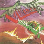 The Vulcans - Star Trek