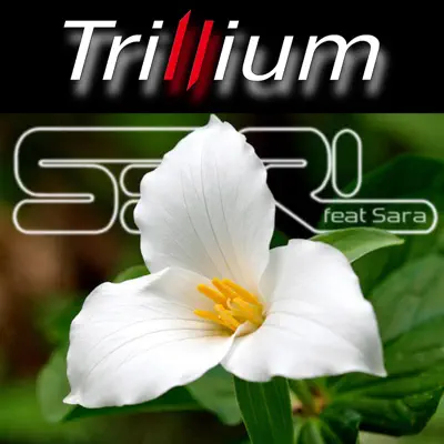 Trillium (feat. Sara) - Single - S3RL