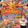 Viva México, Vol. 1