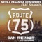 Own the Night (Alex Guesta Tribal Mix) - Nicola Fasano, Honorebel & Shaggy lyrics