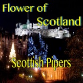 Flower of Scotland (Full Version) artwork