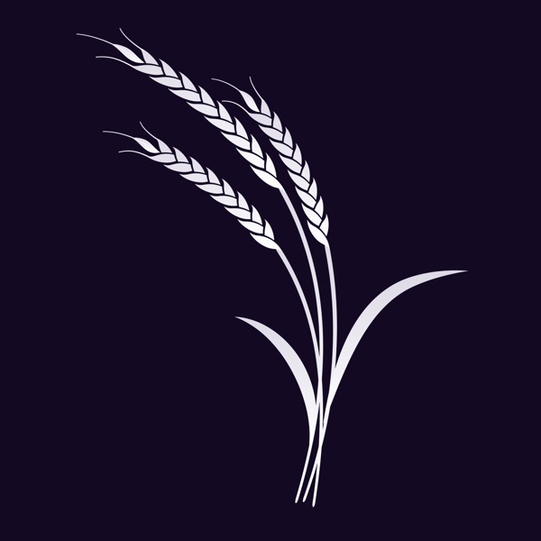 Community Harvest Church cover