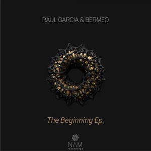 The Begining - Single