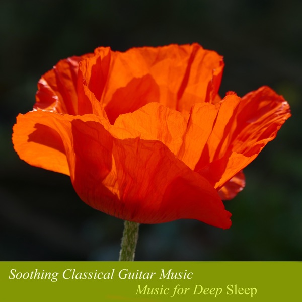 Soothing Classical Guitar Music