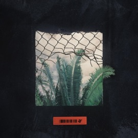 Pathways (feat. Low Leaf) Thane