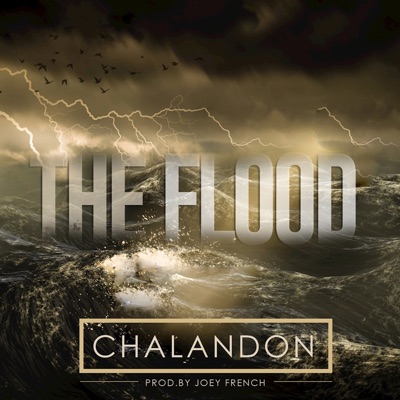 The Flood (feat. Steve Herring) - Single