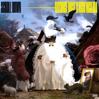 Scroll Down - Gayoncé Rose & Nico Miseria