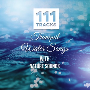111 Tracks: Tranquil Water Songs with Nature Sounds: Healing Meditations, Music for Yoga, Reiki, Spa, Massage, New Age - Serenity Instrumental Music
