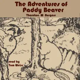 The Adventures of Paddy Beaver
