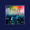 Brizy