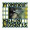 Mathieu Boogaerts - Pourquoi pas