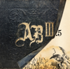 Wonderful Life - Alter Bridge