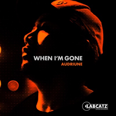 When I'm Gone - Single