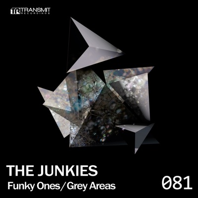 Funky Ones / Grey Areas - Single