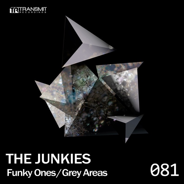 Funky Ones / Grey Areas - Single