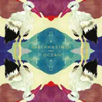 I Love You Baby, I Love You Doll — Parekh & Singh