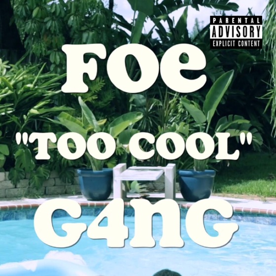 Cover artwork for Too Cool