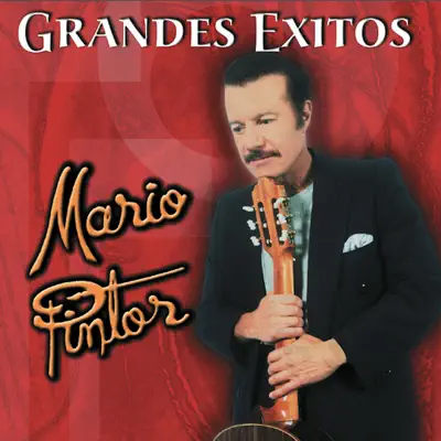 Mi Éxito - Mario Pintor